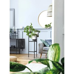 Produktbild für Blumenständer Prosperplast Bloomie, schwarz/weiß