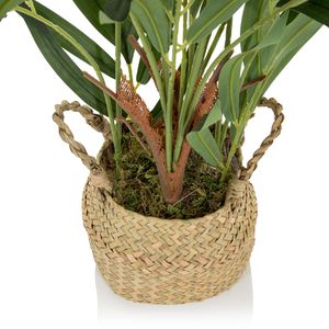 Produktbild für Kunstpflanze hJh-OFFICE Chamaedorea