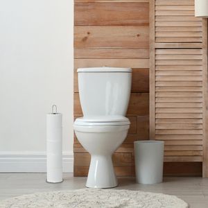 Produktbild für Toilettenpapier-Ersatzrollenhalter Axentia 291116