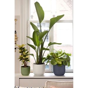 Produktbild für Übertopf elho Vibes Fold rund, anthrazit, Ø 30 x 27 cm