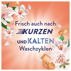 Produktbild für Weichspüler Lenor Jasminblüte &amp; Weiße Zeder