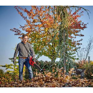 Produktbild für Laubbläser Einhell-Professional GP-LB 36/210 Li E-Solo, Akku