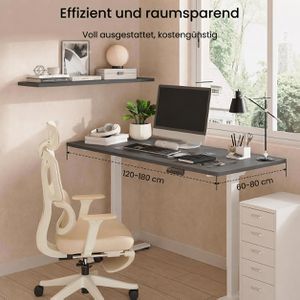 Produktbild für Schreibtisch FlexiSpot E1W Pro, schwarz / weiß