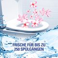 Zusatzbild WC-Duftspüler Cillit-Bang 6 in 1 Blauspüler Blüten