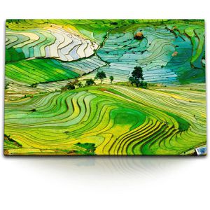 Produktbild für Wandbild Sinus-Art Reisfelder Vietnam