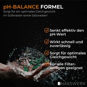 Produktbild für PH-Minus NASSWERK 100 % Natriumhydrogensulfat, Granulat