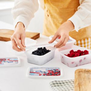 Produktbild für Frischhaltedose Rotho Domino, aus Kunststoff