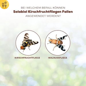Produktbild für Gelbtafeln Solabiol Kirschfruchtfliegenfalle 10 x 27cm, Hängen
