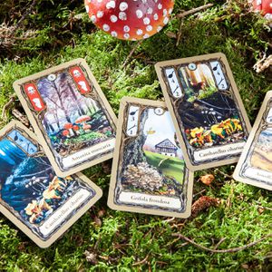 Produktbild für Kartenspiel Pegasus-Spiele 18113G, Fungi