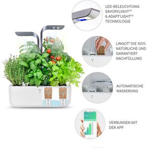 Produktbild für Anzuchtkasten Veritable Connect Grey, 33x18,5x45cm