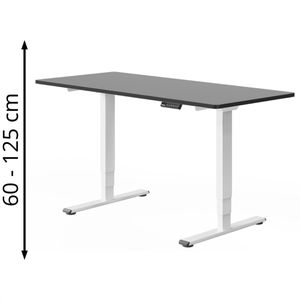 Schreibtisch FlexiSpot E5W, schwarz / weiß