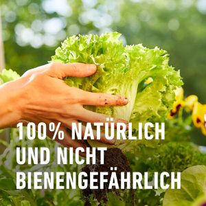 Produktbild für Grundstoff Compo Bio Brennnessel, Konzentrat