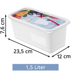 Produktbild für Frischhaltedose Rotho Domino, aus Kunststoff