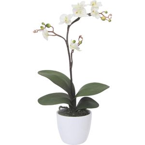 Kunstblume Creativ-green Orchidee, Phalaenopsis