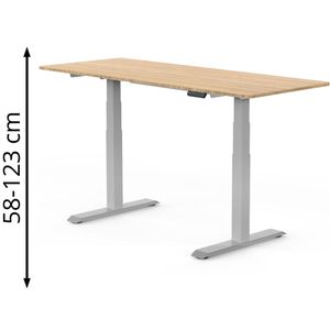 Schreibtisch FlexiSpot E7S 2026, ahorn / grau