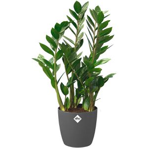 Produktbild für Übertopf elho Brussels Rund, anthrazit, Ø 22 x 21 cm