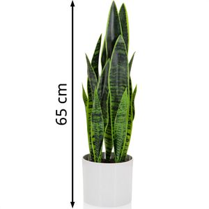 Produktbild für Kunstpflanze hJh-OFFICE Sansevieria
