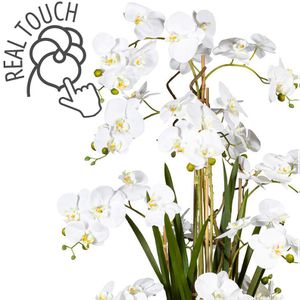 Produktbild für Kunstblume Creativ-green Orchidee, Phalaenopsis