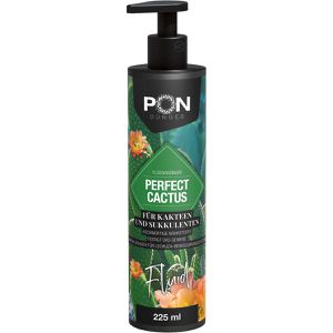 Produktbild für Dünger PON PERFECT CACTUS Fluid 18590