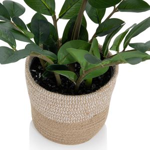 Produktbild für Kunstpflanze hJh-OFFICE Zamie Zamioculcas