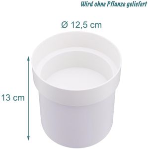 Produktbild für Geldversteck Relaxdays 10051643, Blumentopftresor