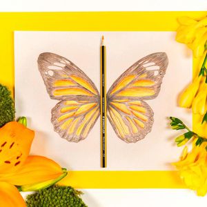 Produktbild für Buntstifte Staedtler Noris Colour 185 CD36