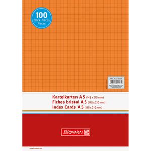 Produktbild für Karteikarten Brunnen 102250240, A5