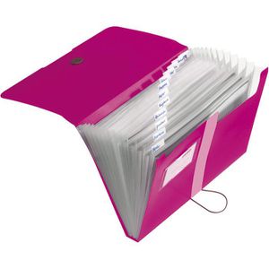 Fächermappe Herlitz 11217114 easy orga to go, A4