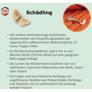 Produktbild für Mottenschutz Nexa-Lotte Sachet