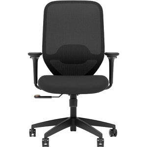 Bürostuhl FlexiSpot C5B