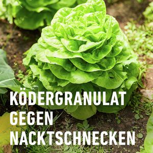 Produktbild für Schneckenkorn Compo Schnecken-frei, extrem regenfest