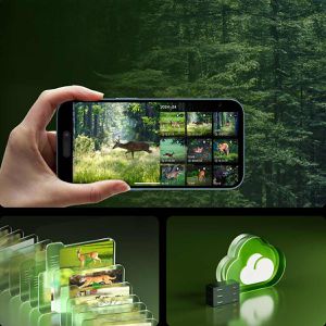 Produktbild für Wildkamera Reolink Camovue Talon Pro S130 LTE 4G