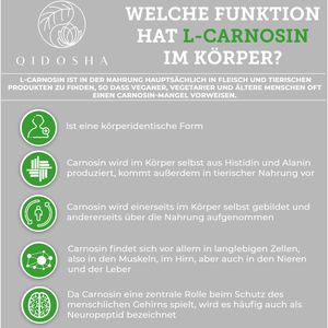 Produktbild für Aminosäuren Qidosha L-Carnosin, 120 Kapseln