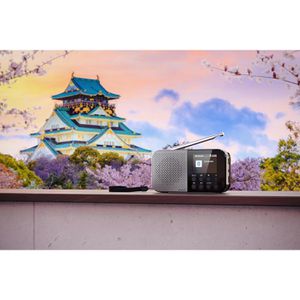 Produktbild für Radio Sharp DR-P540 DAB+