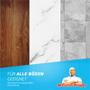 Produktbild für Allzweckreiniger Meister-Proper Frühlingserwachen