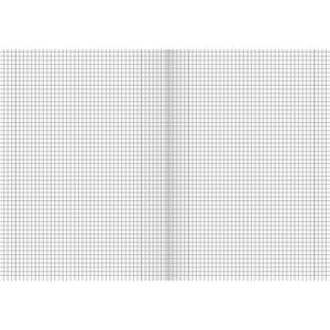 Produktbild für Schulheft Brunnen 104432802, ab 5. Klasse, A4