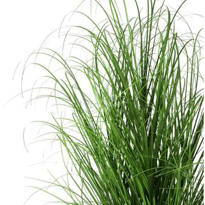Produktbild für Kunstpflanze Creativ-green Grasbusch