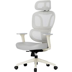 Bürostuhl FlexiSpot BS5WG