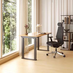 Produktbild für Schreibtischgestell FlexiSpot E2QB, schwarz, 4 Memoryspeicher