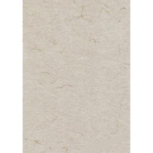 Produktbild für Briefpapier Römerturm 88001578, hellgrau, A4