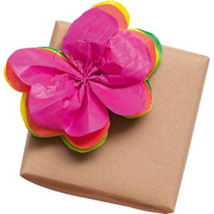 Produktbild für Seidenpapier Folia 90009, 26 Farben