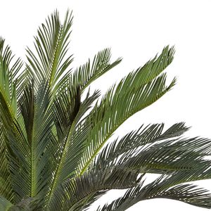 Produktbild für Kunstpflanze Creativ-green Cycas