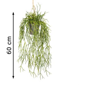 Produktbild für Kunstpflanze Creativ-green Rhipsalishänger