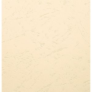 Produktbild für Deckblätter Exacompta Forever 2785c, A3