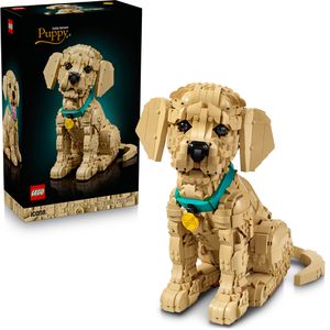 Produktbild für Klemmbausteine LEGO Icons 11384, ab 18 Jahre