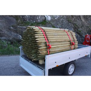 Produktbild für Spanngurt Kerbl 37189, rot, mit Spitzhaken &amp; Ratsche