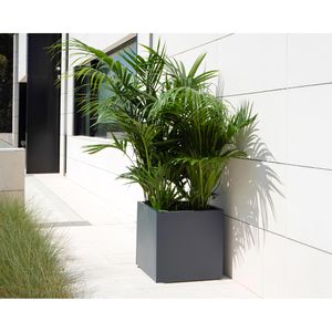 Produktbild für Pflanzkasten Herstera Cube S anthrazit