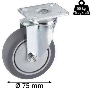 Produktbild für Apparaterolle Dörner+Helmer 770410C, mit Anschraubplatte