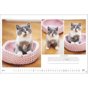 Produktbild für Bildkalender Heye 1130, Whiskas Cattitude, Jahr 2026