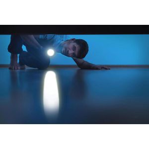 Produktbild für Taschenlampe Ansmann Daily 150B, LED, mit Batterie